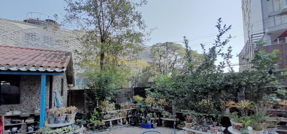 Garden and location at Baan The Pub Guesthouse in Chiang Mai